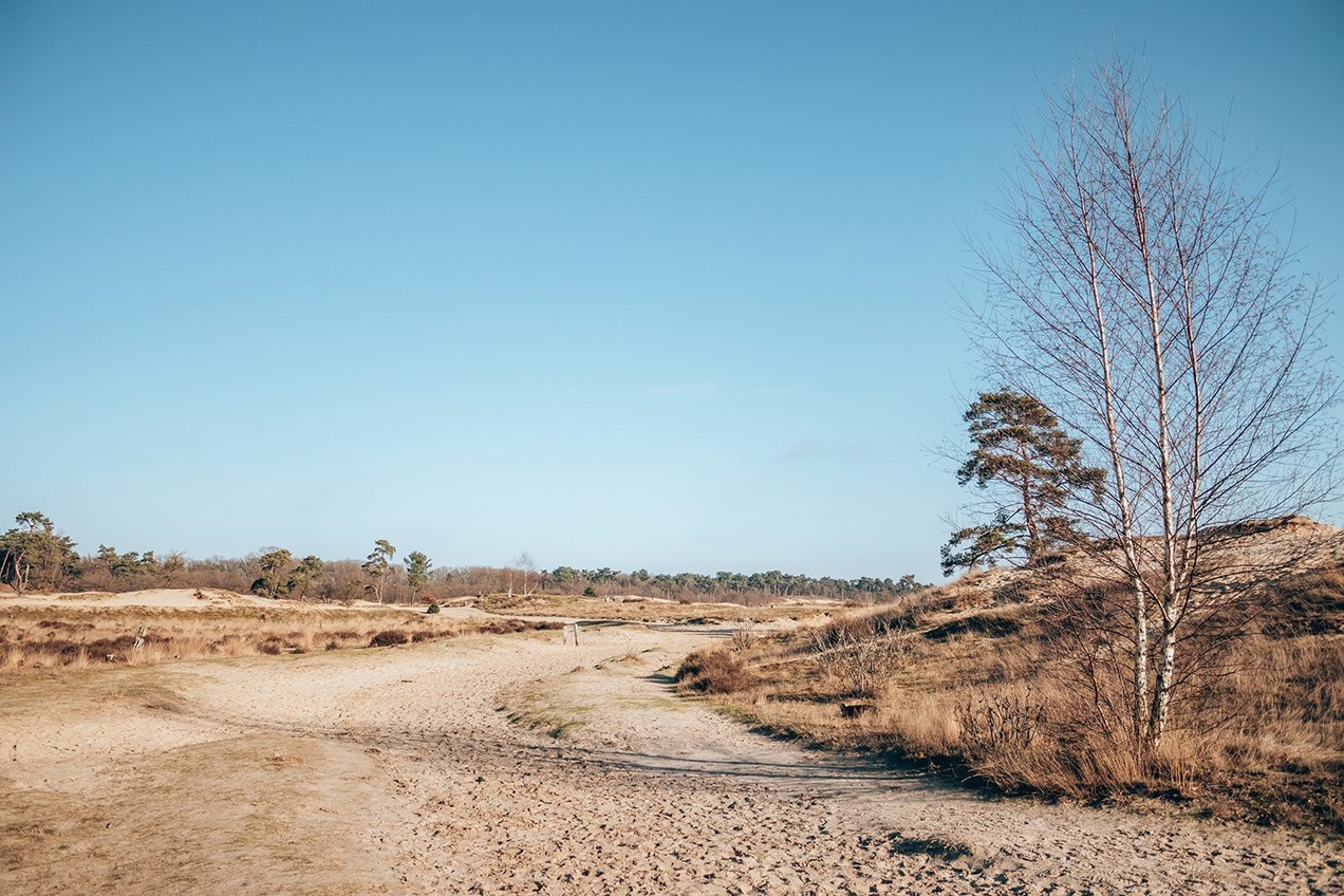 Roestelberg, Kaatsheuvel